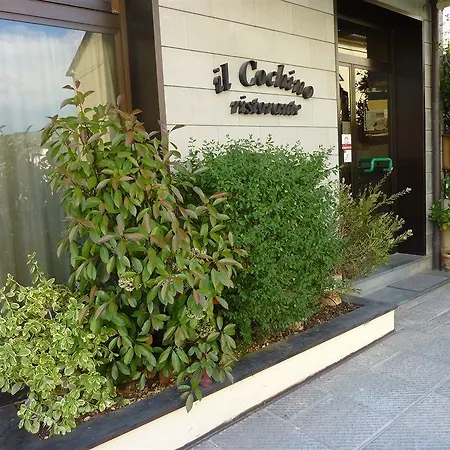 科奇诺酒店 酒店 2*